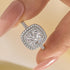 Louily 2.0 Carat Double Halo Cushion Cut Engagement Ring In Sterling Silver - louilyjewelry