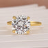 Louily Moissanite 2.0~4.0 Carat Round Cut Promise Ring - louilyjewelry