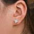 Louily Classic Moissanite Square Princess Cut Stud Earrings In Sterling Silver - louilyjewelry