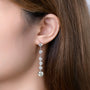 Louily Moissanite Enchanting Round Cut Earrings - louilyjewelry