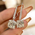 Louily Exquisite Cushion Cut Women's Earrings In Sterling Silver - louilyjewelry