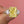 Load image into Gallery viewer, Louily Yellow Sapphire Three Stone Radiant Cut Engagement Ring In Sterling Silver
